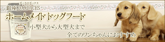 ダックスダックス